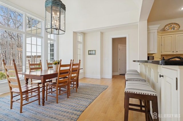 56 Cradle Rock Rd, Princeton, NJ 08540 - dining room with light wood-type flooring and baseboards