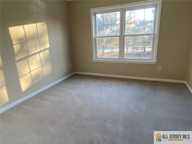 224 Waterford Dr, Edison, NJ 08817 - photo 15