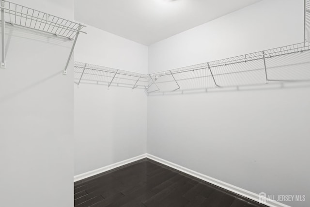 203 Shields Ct, South Brunswick, NJ 08852 - photo 18