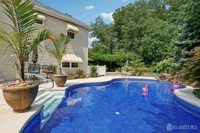 view of pool with a patio