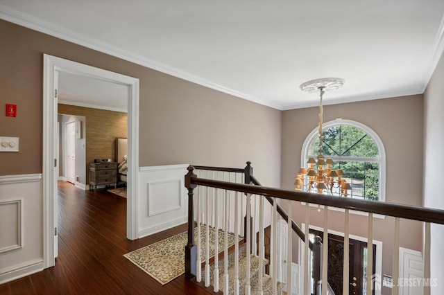 hallway featuring dark hardwood / wood-style floors, crown molding, and a notable chandelier