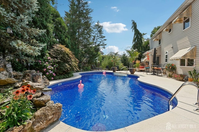 view of pool featuring a patio area