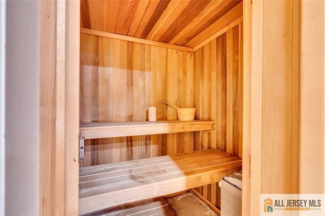10 Signal Ct, South Brunswick, NJ 08810 - view of relaxing sauna