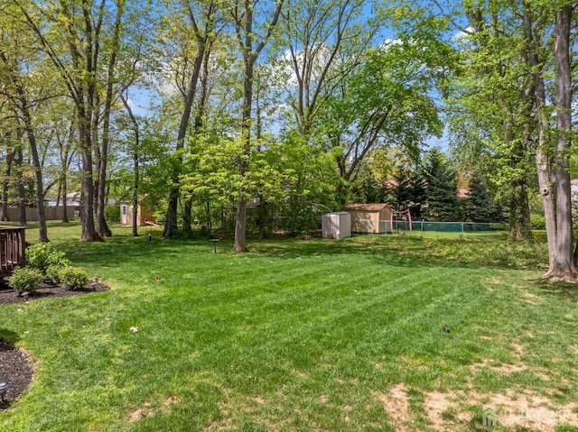 view of yard with a storage shed and an outdoor structure