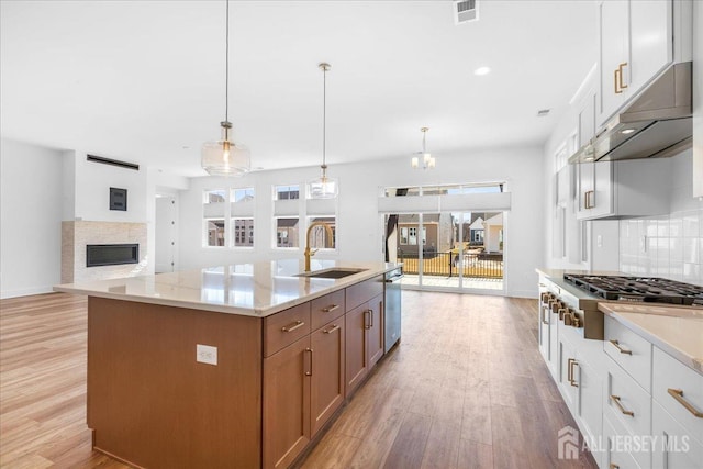kitchen featuring visible vents, a sink, light wood finished floors, a wealth of natural light, and stainless steel appliances