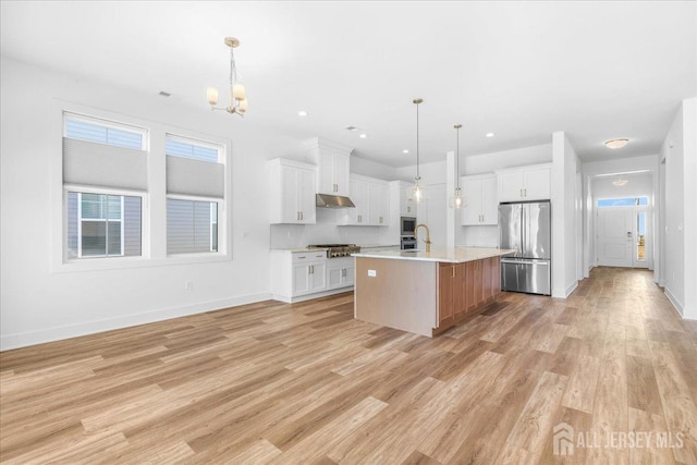 kitchen featuring under cabinet range hood, stainless steel appliances, plenty of natural light, and light wood-style flooring