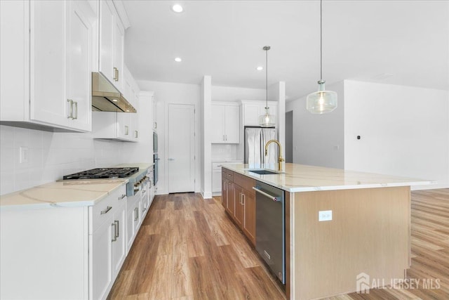 kitchen with light wood-type flooring, under cabinet range hood, a sink, tasteful backsplash, and stainless steel appliances