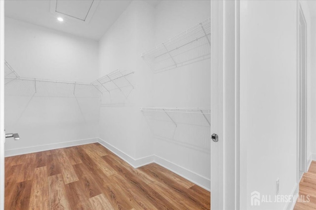 walk in closet featuring light wood finished floors