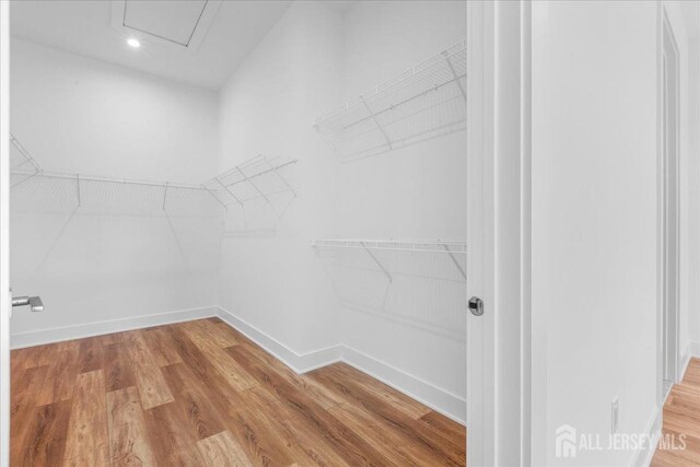 spacious closet with light wood finished floors