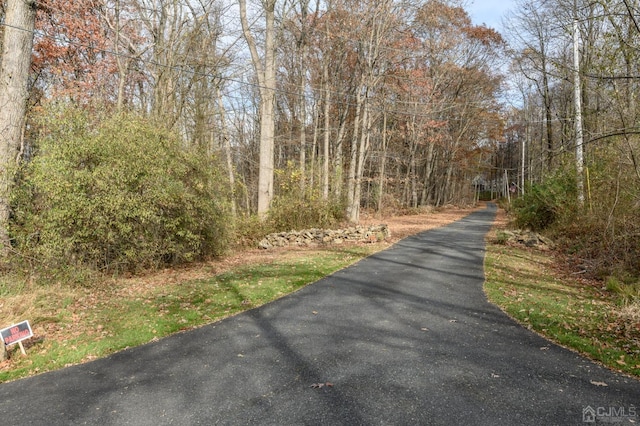 Listing photo 3 for 4 Country Ln, Glen Gardner NJ 08826