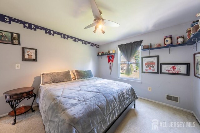 18 Nelson Dr, Milltown, NJ 08850 - photo 17