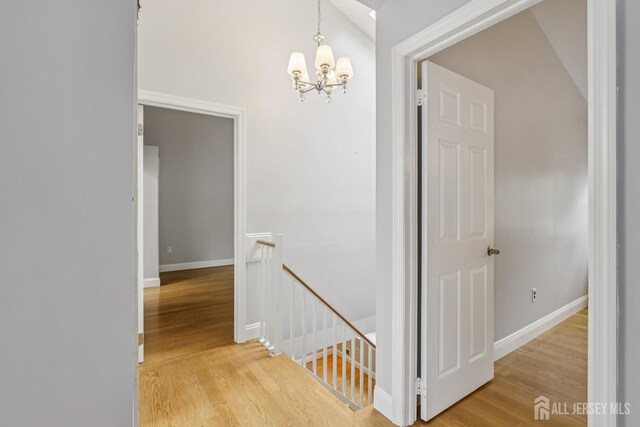 364 Grandview Ave, Piscataway, NJ 08854 - photo 22