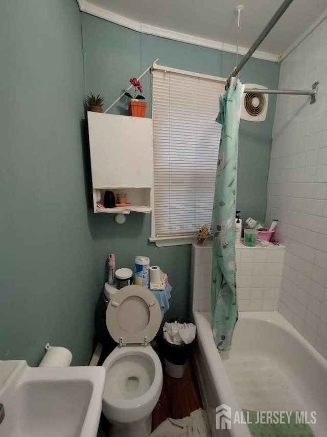 53 Louis St, New Brunswick, NJ 08901 - full bath featuring shower / tub combo with curtain, toilet, and a sink