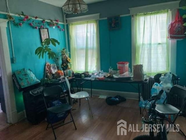 53 Louis St, New Brunswick, NJ 08901 - dining area with wood finished floors and baseboards
