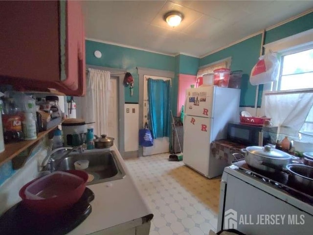 53 Louis St, New Brunswick, NJ 08901 - kitchen with white appliances, a sink, light floors, and ornamental molding