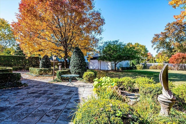 view of yard with a patio area