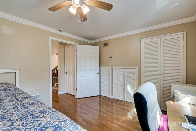 bedroom featuring ceiling fan, two closets, hardwood / wood-style floors, and crown molding