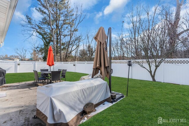 view of yard featuring a patio