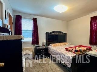 bedroom with carpet flooring