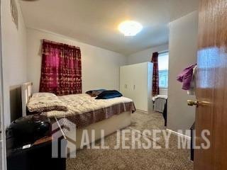 carpeted bedroom with radiator