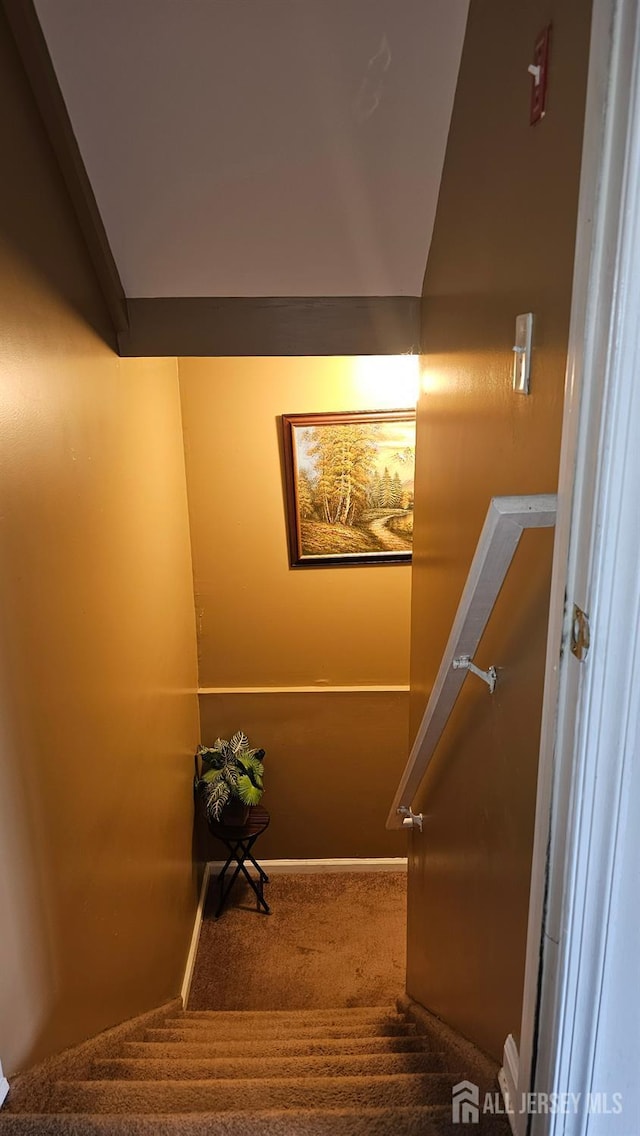 76 Tennyson Rd, East Windsor, NJ 08520 - staircase featuring carpet floors
