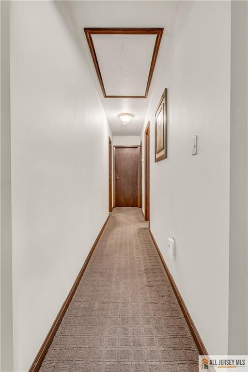 706 Wood Ave, North Brunswick, NJ 08902 - hallway with light carpet