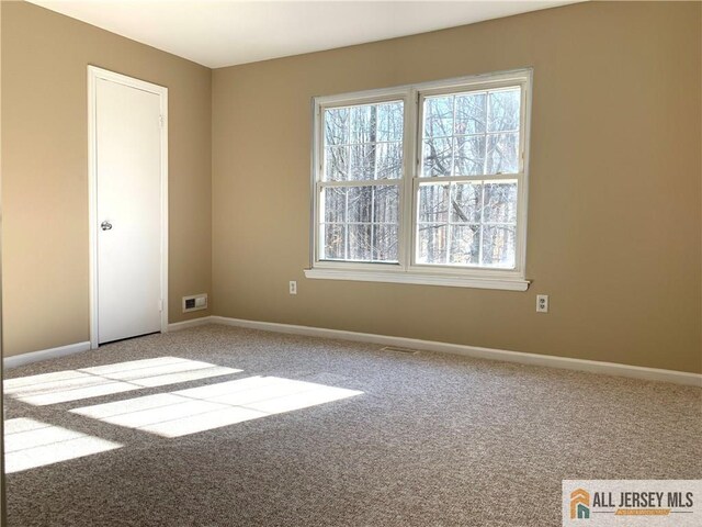 unfurnished room with carpet floors