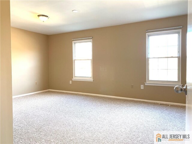 spare room featuring carpet flooring and plenty of natural light