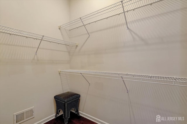 spacious closet with dark wood-type flooring