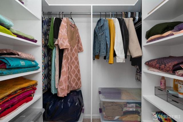 31 Morris Ln, Cranbury, NJ 08512 - view of spacious closet