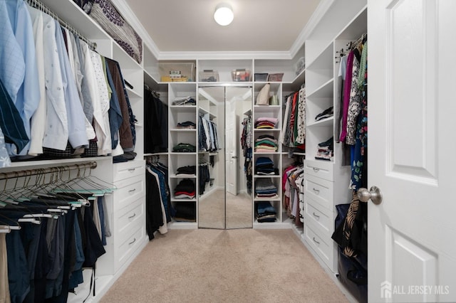 31 Morris Ln, Cranbury, NJ 08512 - spacious closet featuring light colored carpet