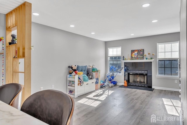 playroom with hardwood / wood-style floors and a wealth of natural light