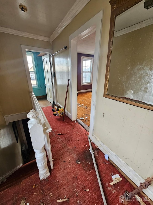 corridor with crown molding and baseboards