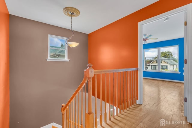 stairway featuring wood finished floors