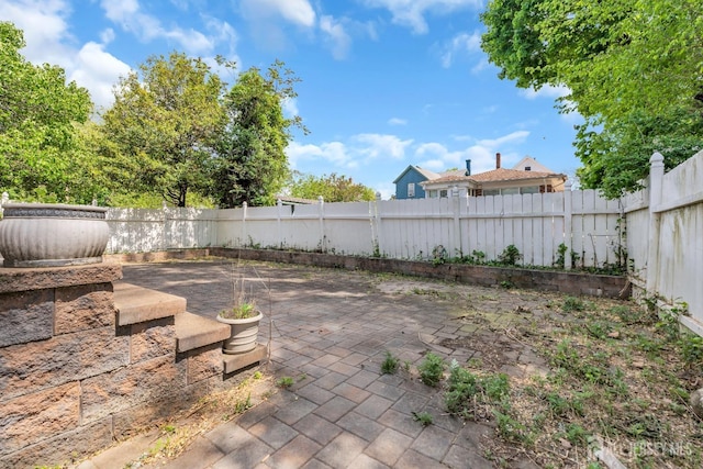 view of yard with a patio and a fenced backyard