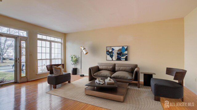 living room with light wood-type flooring