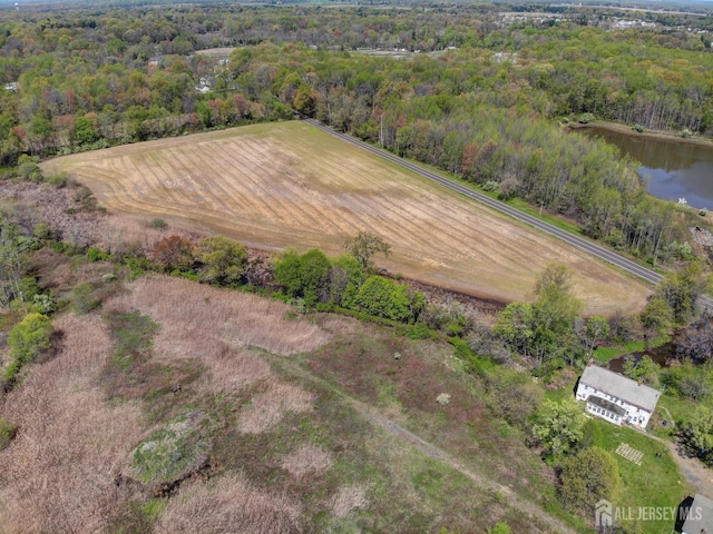 aerial view of sparsely populated area featuring a heavily wooded area and a nearby body of water