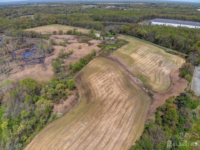 view of property location with a forest