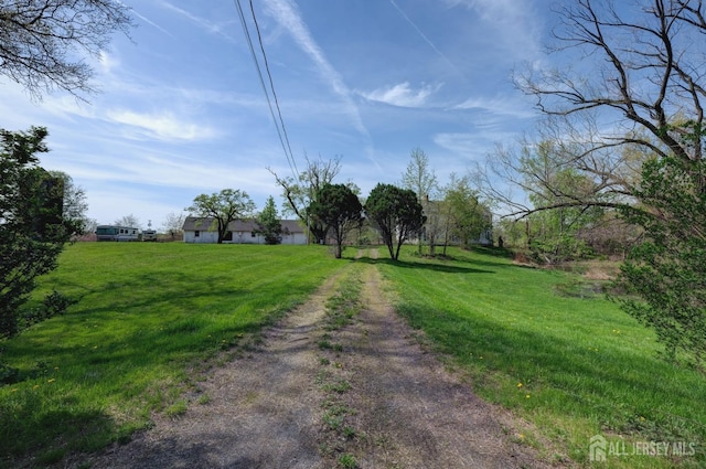 view of dirt / gravel road