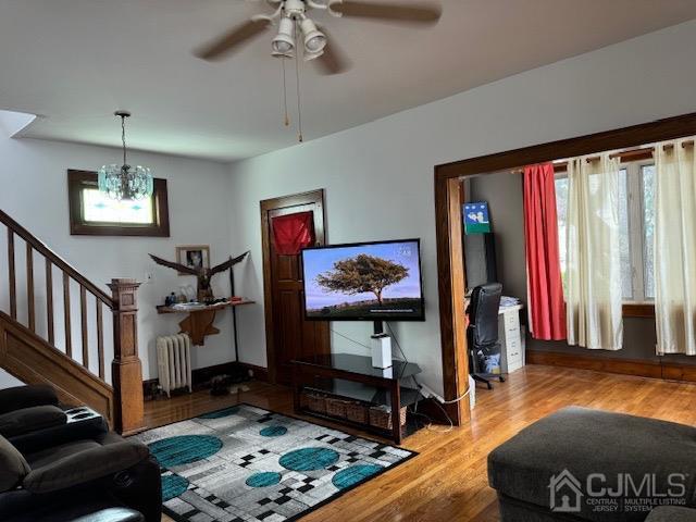 living room with radiator, light hardwood / wood-style floors, and ceiling fan with notable chandelier