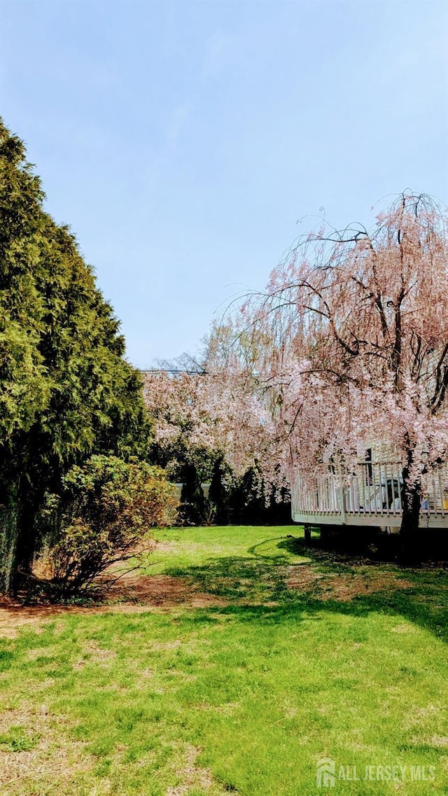 20 Ballo Pl, Edison, NJ 08820 - view of green lawn featuring a wooden deck