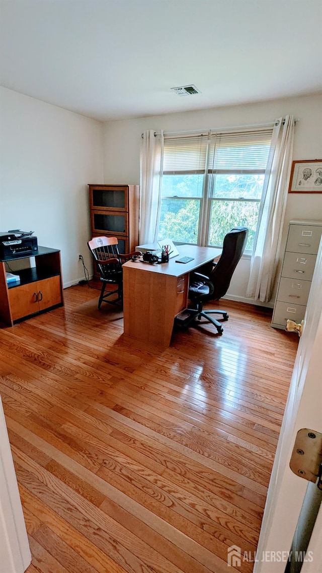 20 Ballo Pl, Edison, NJ 08820 - office featuring plenty of natural light and light wood-type flooring