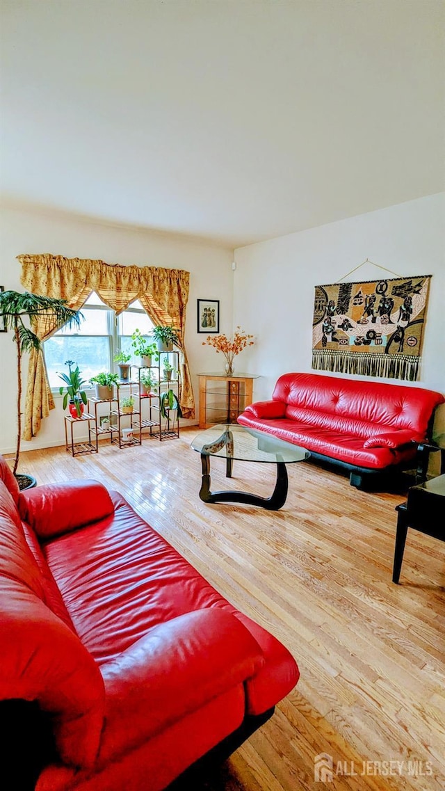 20 Ballo Pl, Edison, NJ 08820 - living room featuring wood finished floors
