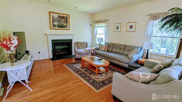 20 Ballo Pl, Edison, NJ 08820 - living area with light wood-type flooring and a fireplace with flush hearth