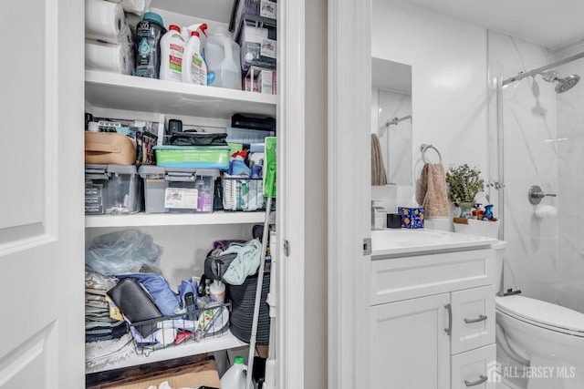 full bathroom with a shower stall, vanity, and toilet