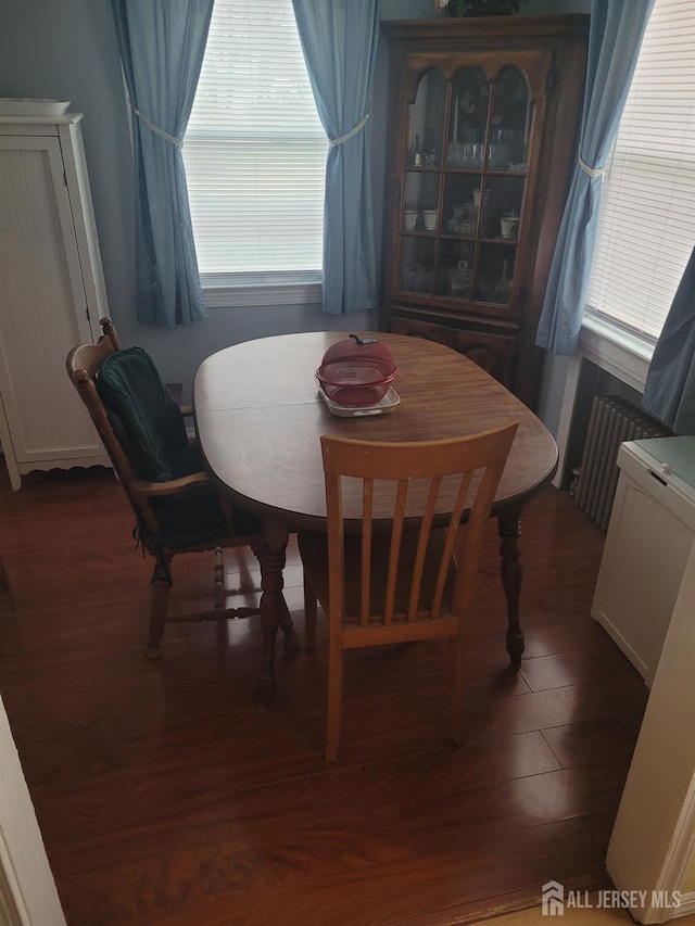 dining room with radiator, wood finished floors, and a healthy amount of sunlight