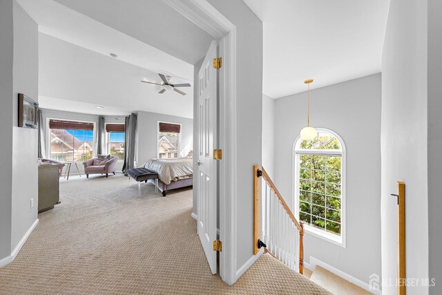19 S Shore Dr, South Amboy, NJ 08879 - hallway with carpet, an upstairs landing, and healthy amount of natural light