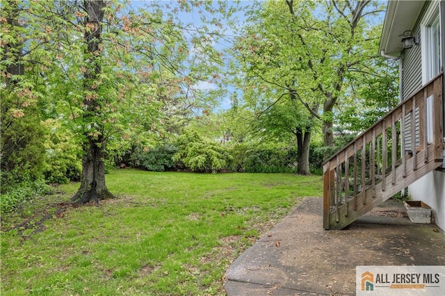view of grassy yard