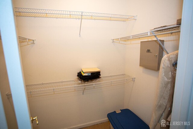 116 Prusakowski Blvd, Sayreville, NJ 08859 - view of spacious closet