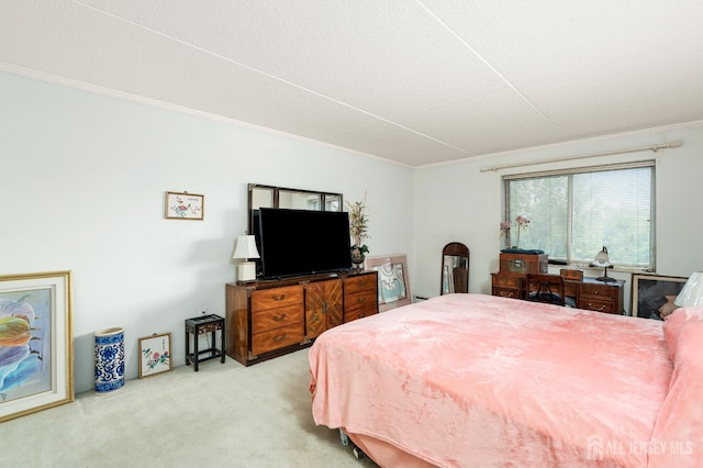 860 Lower Ferry Rd Unit 6D, Ewing, NJ 08628 - photo 22